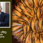মাছের পুষ্টির জন্য সকল প্রকার খনিজ উপাদানের ভূমিকা