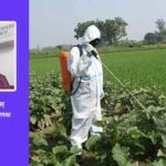 কীটনাশক ঝুঁকি হ্রাসে দরকার সচেতনতা