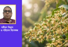 মুকুলে আমের স্বপ্ন, রপ্তানির চ্যালেঞ্জ